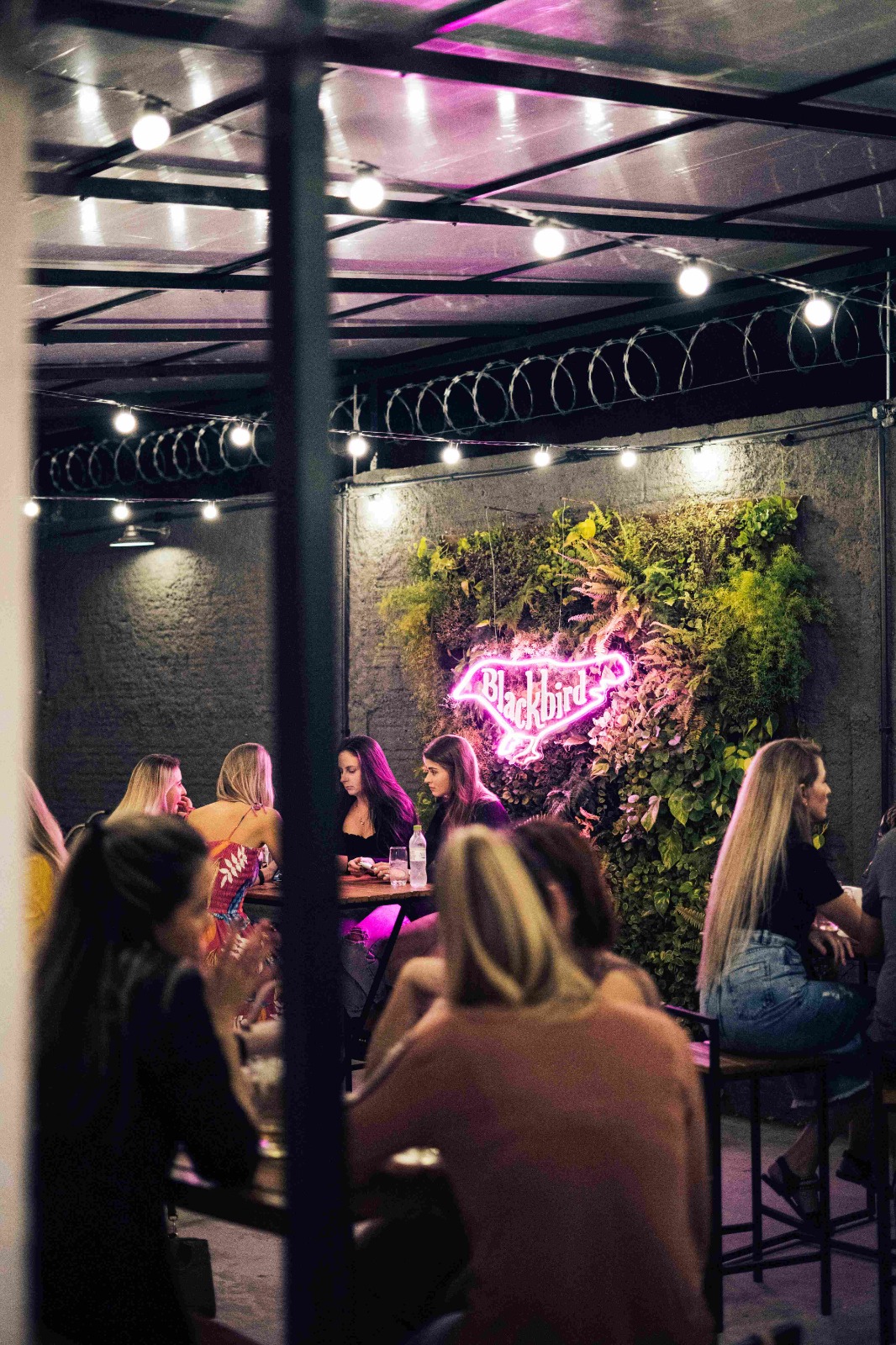 O restaurante Blackbird